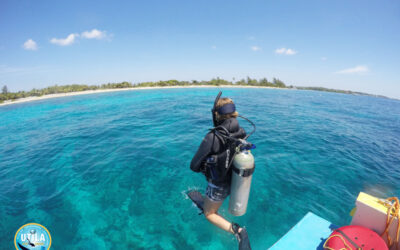 Utila Dive Center y Mango Inn Resort