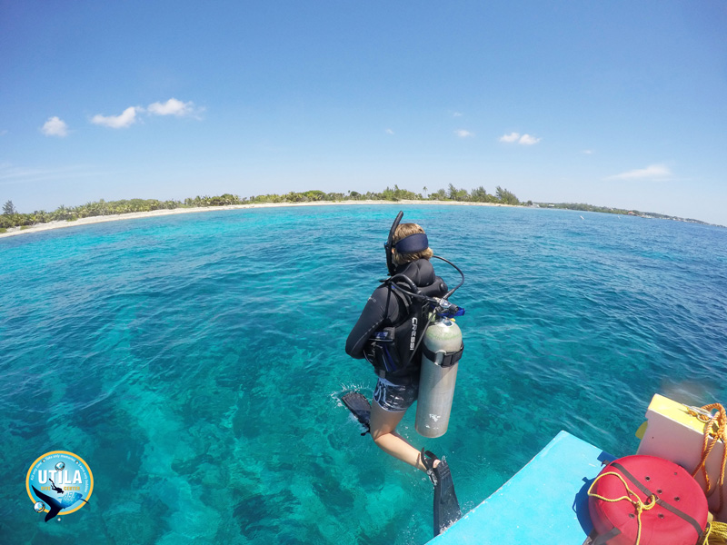 Utila Dive Center y Mango Inn Resort